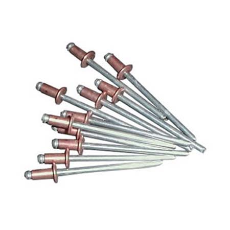 424 Rivetti rame tipo standard corto - Osd gruppo Ecotech srl - Allontanamento piccioni,disinfestazione,HACCP, roditori